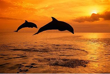 《漫威复仇者联盟》最终更新免费加入黑寡妇服装